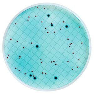 Deteksi total coliform, Coliform Detection Medium, Merck, 50 Test